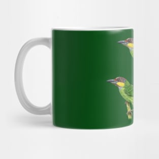 Gold-whiskered Barbet | Psilopogon chrysopogon ⚥ Mug